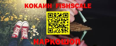 индика Гай