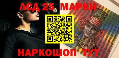 индика Гай