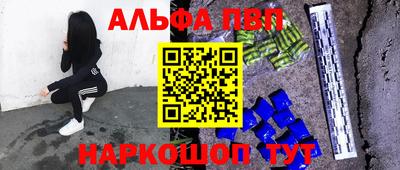 индика Гай