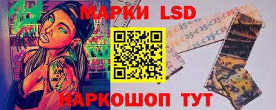 индика Гай