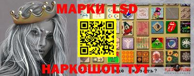 гидропоника Гагарин