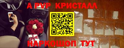 индика Гай