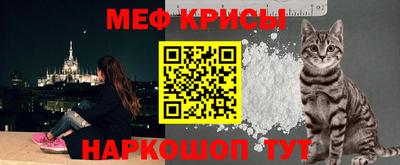 индика Гай