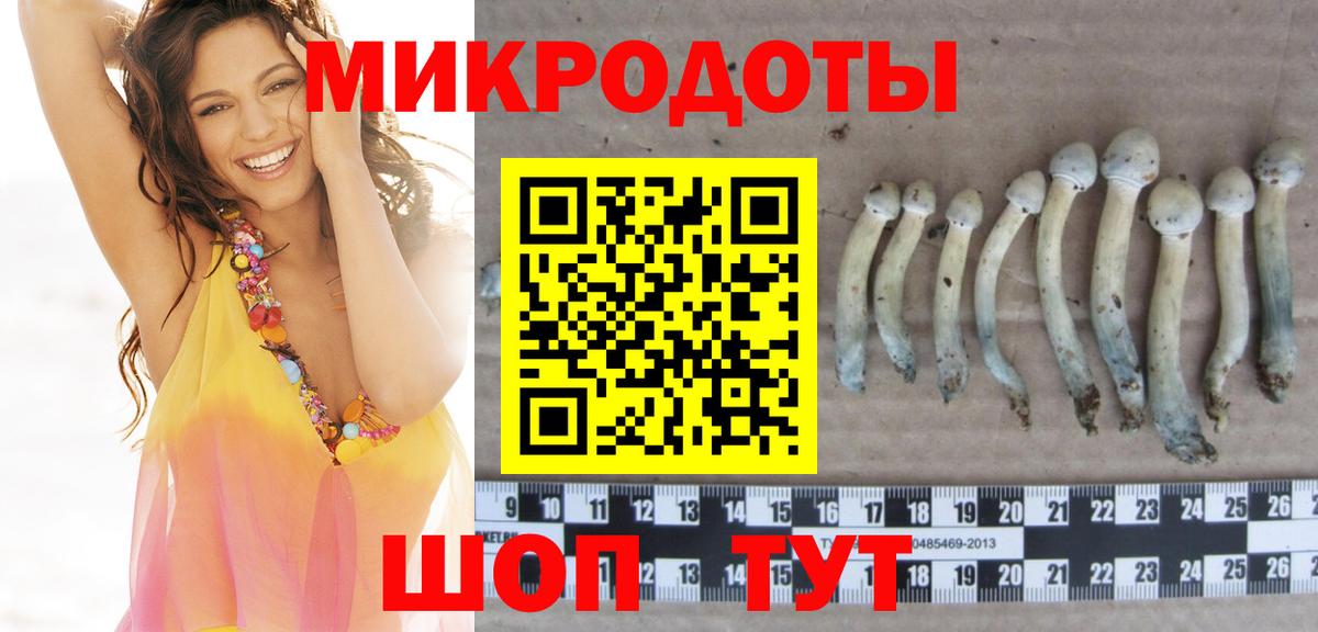 Ногинск  Псилоцибиновые грибы GOLDEN TEACHER  сколько стоит  Вход с VPN  Псилоцибиновые грибы Psilocybine cubensis 