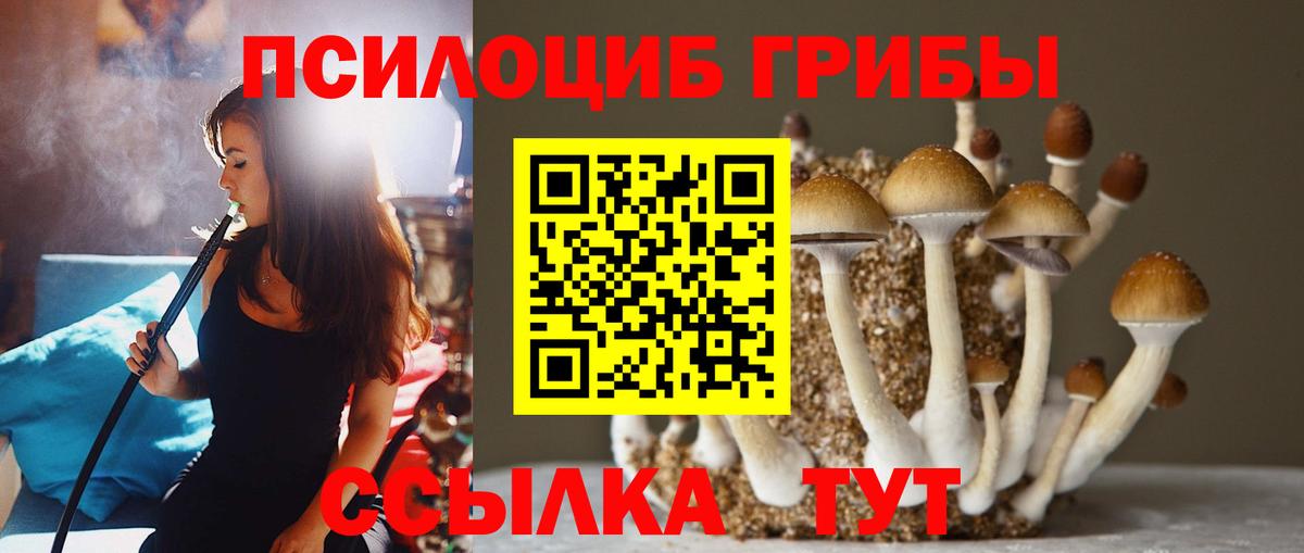 Псилоцибиновые грибы Psilocybine cubensis Ногинск